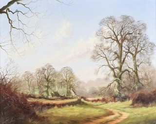 Tony Malton, British, oil on canvas, a country lane with distant cottages, signed, 40cm x 50cm 