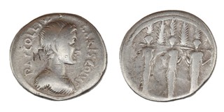 Roman Republic, P. Accoleius Lariscolus, 43 BC, silver Denarius, 18mm, Obv: Draped bust of Diana Nemorensis right / Rev: Triple cult statue of Diana Nemorensis facing, supporting a branch on which are five cypress trees. S.484, F. 