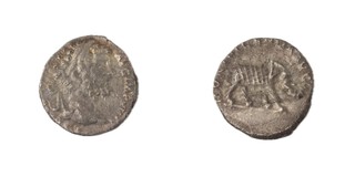 Roman Empire, Septimius Severus, 193-211 AD, silver Denarius, 16mm, Obv: Laureate, bearded head of Septimius, right / Rev: Cuirassed elephant advancing to right. S.6417, F. 