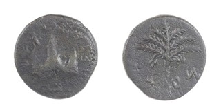 Judaea, 135 AD, 25mm, bronze coinage, Obv: Bunch of grapes in three lobes hanging from branch / Rev: Palm tree. F. 