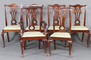 A set of 6 Edwardian, Chippendale style, mahogany dining chairs - 1 carver and 5 standard chairs with pierced vase shaped slat backs, upholstered drop in seats, raised on cabriole supports 105cm h x 55cm w x 49cm d (seat 25cm x 29cm) 