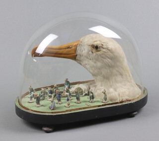 A Victorian stuffed Albatross head, mounted together with miniature Japanese figures, contained with in a glass dome on bun feet 46cm h x 41cm w x 18cm d