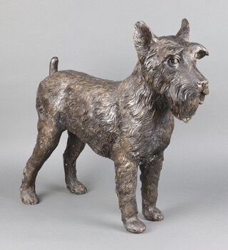 A 20th Century bronze life size figure of a Schnauzer dog 50cm h x 54cm w x 9cm d 