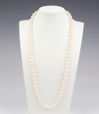 A string of cultured pearls, 8mm each, with a 14ct gold clasp, 60cm 