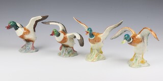 Four Beswick ducks - 749 17cm, 750 15cm, 995 15cm and 994 15cm 