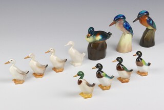 Two Royal Doulton figures of Kingfishers 10cm, a ditto of a duck 9cm, 8 other Doulton ducks 6cm 