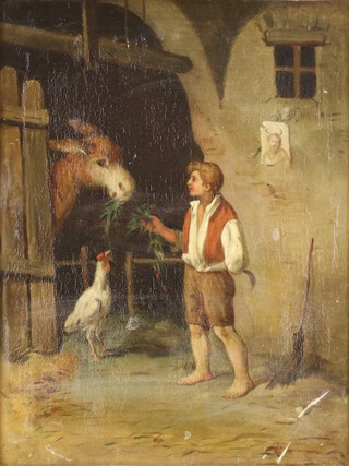 A 19th Century oil on canvas unsigned, a boy feeding a donkey in a barn with a cockerel before him 51cm x 39cm 