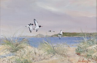 **John Hamilton, oil on board, a coastal scene with birds and distant buildings 19cm x 30cm **Please note: Artist's Re-sale Rights may be payable on this lot