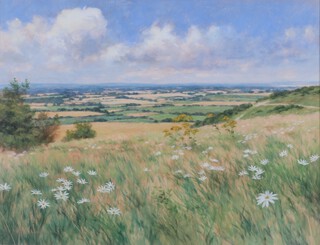 Michael J Cruickshank, British born 1957, acrylic signed, "Wild flowers on the Downs" 42cm x 55cm 