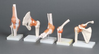 Five 20th Century dental plastic models - foot, shoulder blade, hip, knee and elbow 