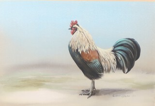 **David Johnston 1971, British, gouache of a cockerel 22cm x 32cm **Please note - Artists Resale Rights may be payable on this lot