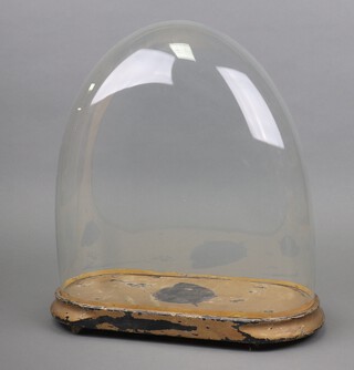 A Victorian oval glass dome with associated stand 35cm h x 34cm w x 16cm d 