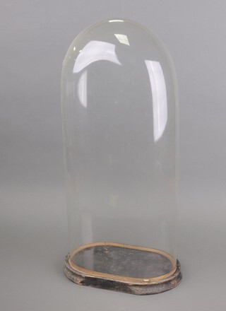A Victorian oval glass dome 62cm h x 30cm w x 28cm d with non matching stand