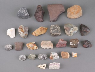 A collection of geological specimens 