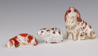 A Royal Crown Derby Imari pattern Exclusive Collectors Guild 2000 paperweight Puppy the base signed C Hallam dated 4/11/01 10cm, 1 other Black Vole 2004 MMV 5cm and a 2003 Cavalier King Charles Spaniel 10cm, all with gold stoppers 