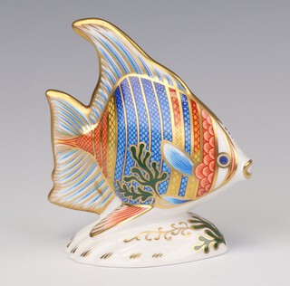 A limited edition Royal Crown Derby Imari pattern paperweight -  Pacific Angel Fish 739/2500 with gold stopper, boxed and with certificate