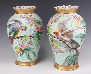 A pair of 19th Century Continental porcelain green glazed vases decorated parrots and parakeet 35cm x 22cm  