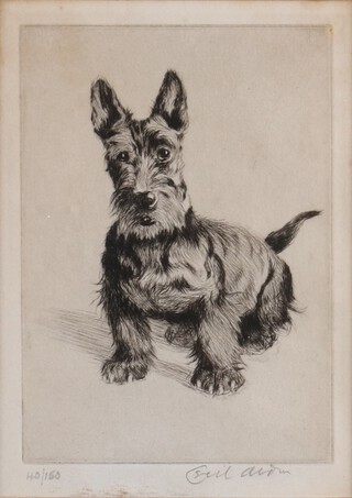 Cecil Charles Aldin (English 1870-1935) etching of a Highland Terrier no.40/150 signed in pencil 17cm x 12cm 