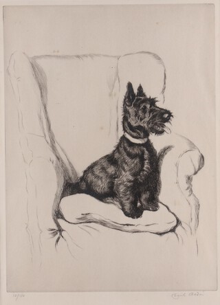 Cecil Charles Aldin (English 1870-1935) etching signed in pencil,  seated Highland Terrier no.12/150 31cm x 22cm 