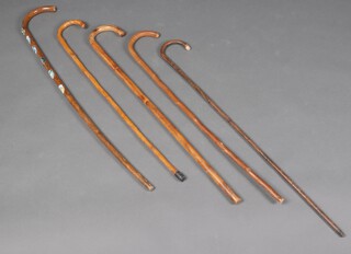 Five various walking sticks 