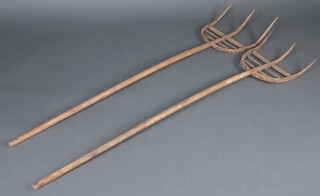 Two Continental elm 3 spoke hay forks 189cm l x 38cm 