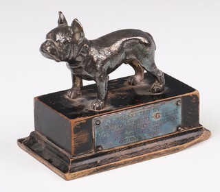 A cast silver plated figure of a standing French Bulldog on a wooden plinth, engraved "Presented by Mrs Townsend-Green for best French Bulldog Member's Show October 1926" 10.5cm 