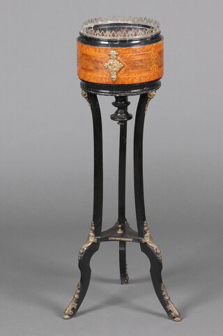 A Victorian cylindrical ebonised and inlaid walnut jardiniere stand with pierced brass gallery and gilt metal mounts throughout, raised on 3 outswept supports with triform base 91cm x 23cm 