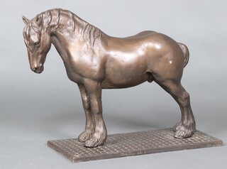 Shirley Pace, a bronzed fibreglass figure of a standing dray horse on a rectangular base, marked A/C2  50cm h x 54cm w x 23cm d 