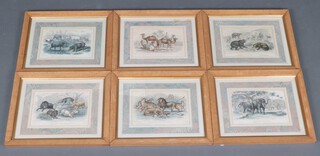 James Stewart, 6 coloured engravings book plates, exotic animals, 14cm x 21cm 