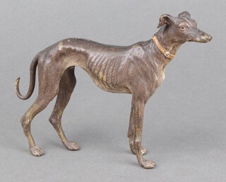 Franz Xavier Bergmann, (Austrian 1861-1936), a cold painted bronze figure of a standing greyhound with amphora B mark and number 3064, 13cm 