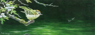 Martin Rumary (British), acrylic signed, study of a Firecrest 12cm x 30cm 
