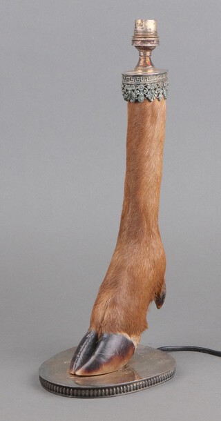 An Edwardian novelty table lamp formed from a deers lower leg, raised on an oval silver plated base 39cm h x 13cm w x 15cm d 