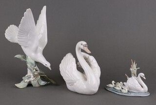 Three Lladro figures - dove 28cm,  swan 17cm and a swan and signets 5277 11cm 