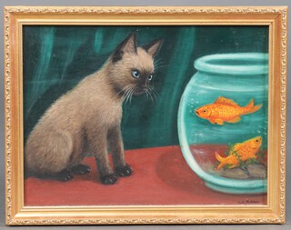 C A Rohn, oil on board signed, a Siamese kitten watching 2 goldfish in a bowl, 30cm x 40cm 
