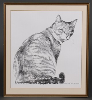 Ronald Cameron (British 1930-2013), pastel signed, study of a tabby cat 48cm x 43cm 