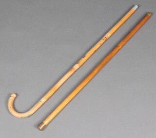 A horse measuring stick together with a horse measuring cane 