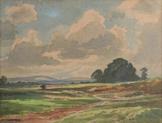 Edwin Lawson James Harris (British, 1891-1961), Extensive Sussex Landscape, watercolour, signed, 26cm x 34cm, within a gilt frame.