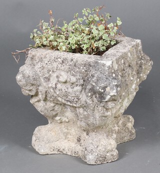 A well weathered square concrete garden planter supported by winged lions 36cm h x 35cm 