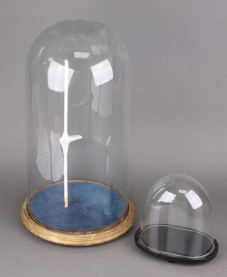 A circular glass dome with stand together with an oval glass display ditto