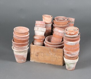 A large collection of terracotta plant pots