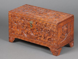 A Chinese carved camphor coffer with hinged lid 33cm h x 62cm w x 30cm d 