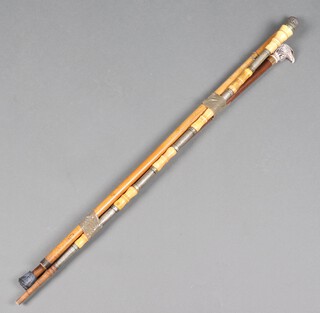 Three walking sticks 