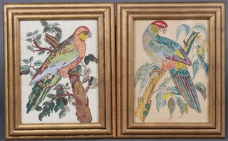 A pair of 18th Century style prints, studies of fabulous birds contained in gilt cushion shaped frames 41cm x 30cm 