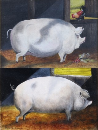 Peter Potashnick, Pigs in a Barn, a pair of naive 20th century oils on canvas-board, both signed, each 15.5cm x 24cm, both within gilt composition frames. 