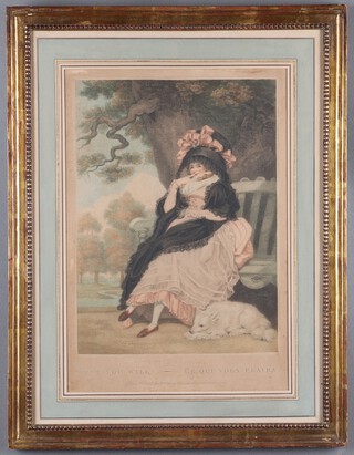 John Raphael Smith, "What You Will - Ce Qui Vous Plaira" an 18th Century stipple engraving with hand colouring, 45cm x 31cm, within a gilt composition frame