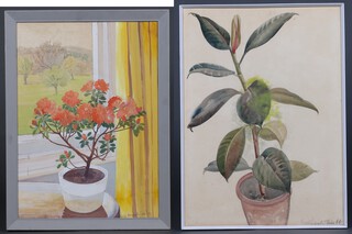 Ellis M Pritchard, a watercolour study of a potted rubber plant 73cm x 53cm signed and dated June '66 and 1 other of an azalea  monogrammed EMP '73, 75cm x 53cm, in non matching silvered frames 
