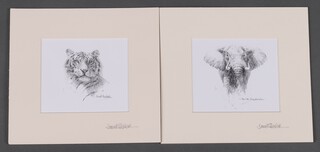 David Shepherd (1931-2017), a pair of monochrome prints "Elephant" and "Tiger", both signed in the margin 12cm x 14cm, unframed 