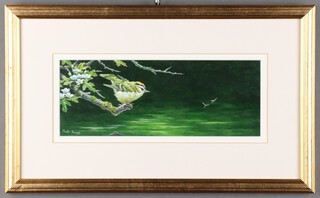 Martin Rumary (British), acrylic signed, study of a Firecrest 12cm x 30cm