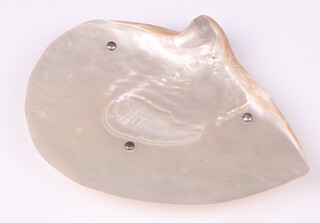 A mother of pearl and silver mounted dish Sheffield 1930 by John Turton & Co., 21cm 