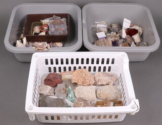 A collection of fossils and geological specimens contained in 3 plastic boxes 